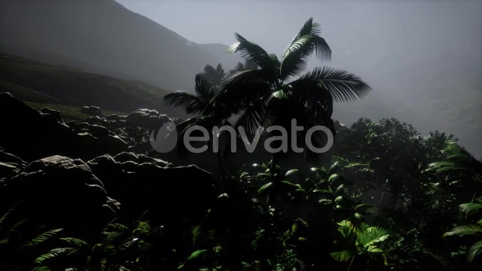 Sunset Beams Through Palm Trees - Download Videohive 21978268