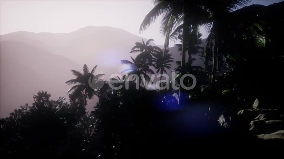 Sunset Beams Through Palm Trees - Download Videohive 22129525