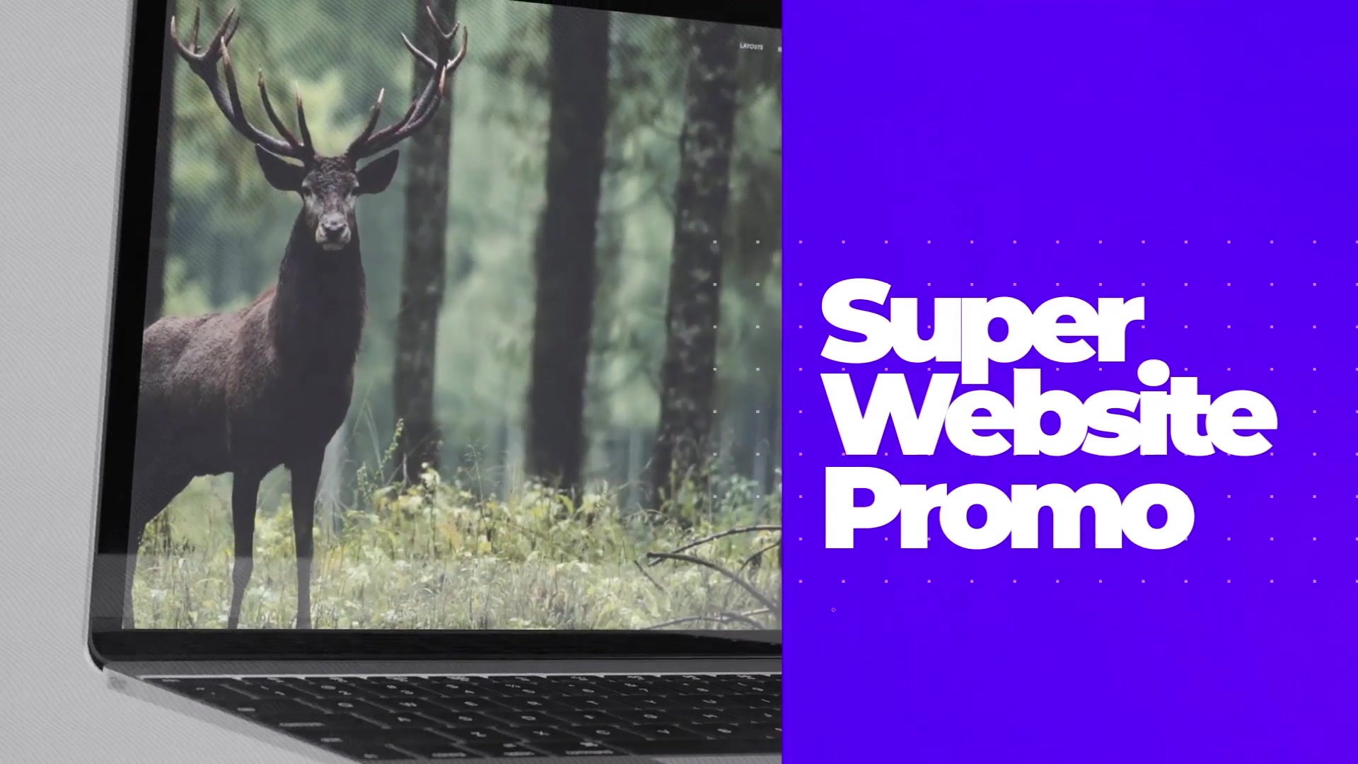 Super Website Promo Videohive 23720260 After Effects Image 11