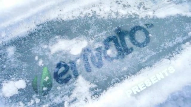 Survival Frozen Ice Logo - Download Videohive 153200