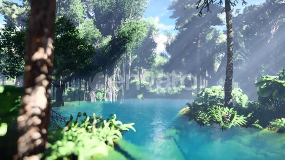 Swamp Forest 01 4K - Download Videohive 21607877