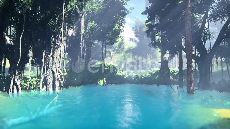 Swamp Forest 01 4K - Download Videohive 21607877