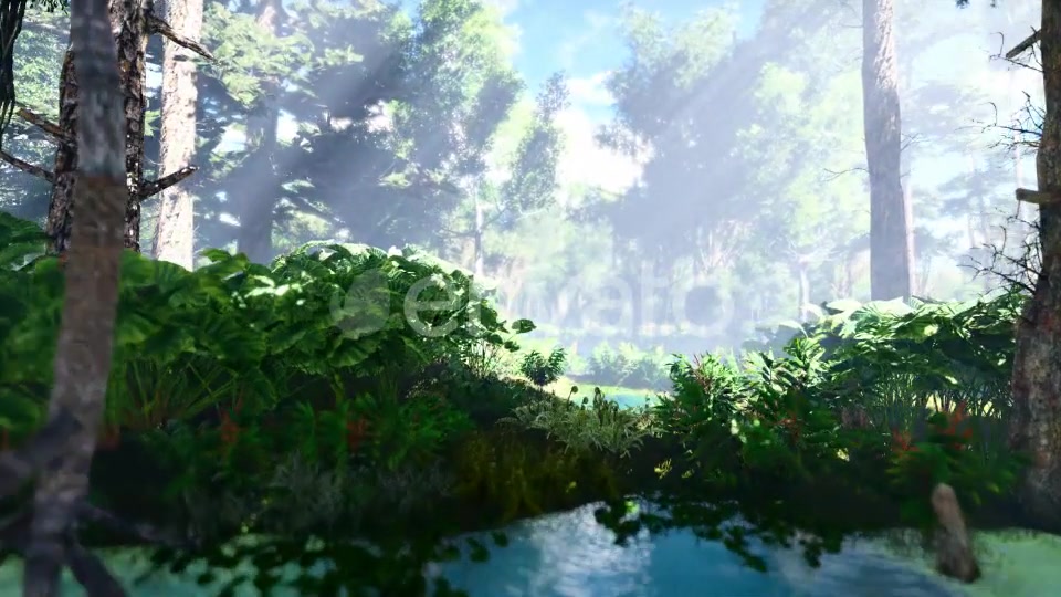 Swamp Forest 01 4K - Download Videohive 21607877