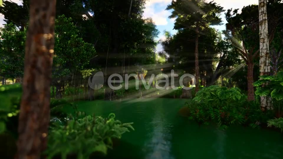 Swamp Forest 02 4K - Download Videohive 21613188