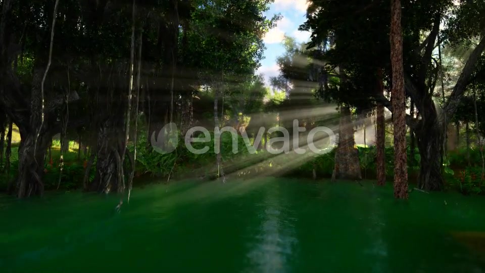 Swamp Forest 02 4K - Download Videohive 21613188