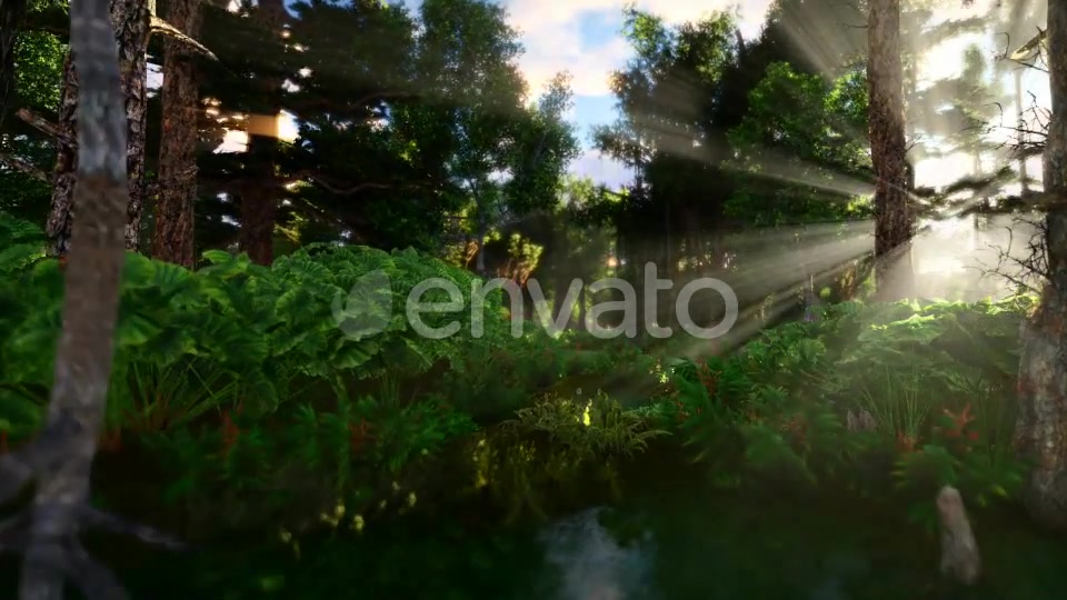 Swamp Forest 02 4K - Download Videohive 21613188