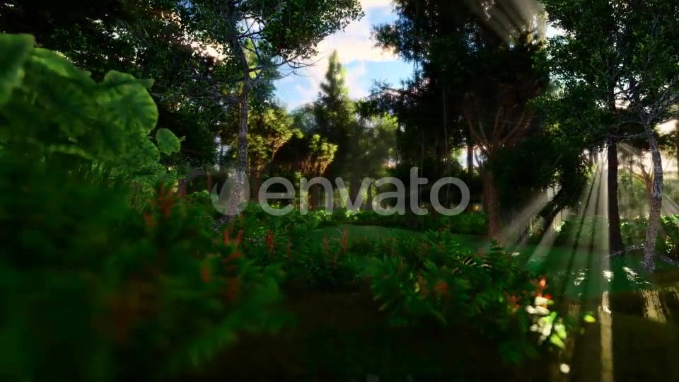 Swamp Forest 02 4K - Download Videohive 21613188