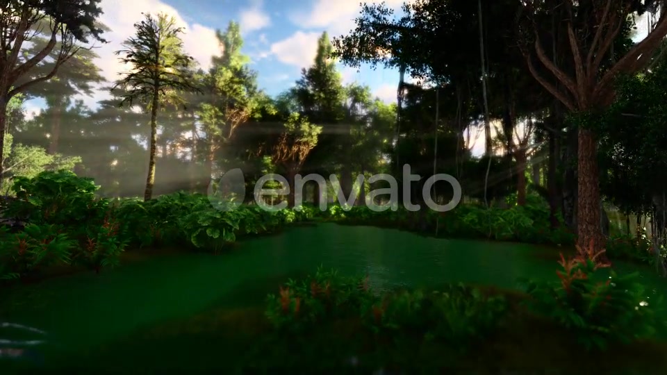Swamp Forest 02 4K - Download Videohive 21613188