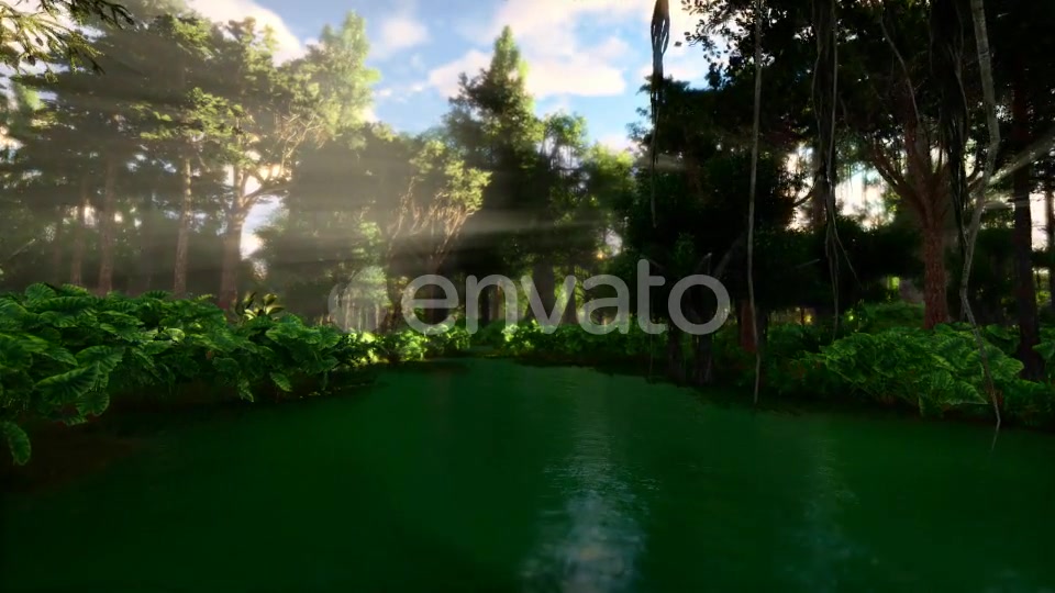 Swamp Forest 02 4K - Download Videohive 21613188