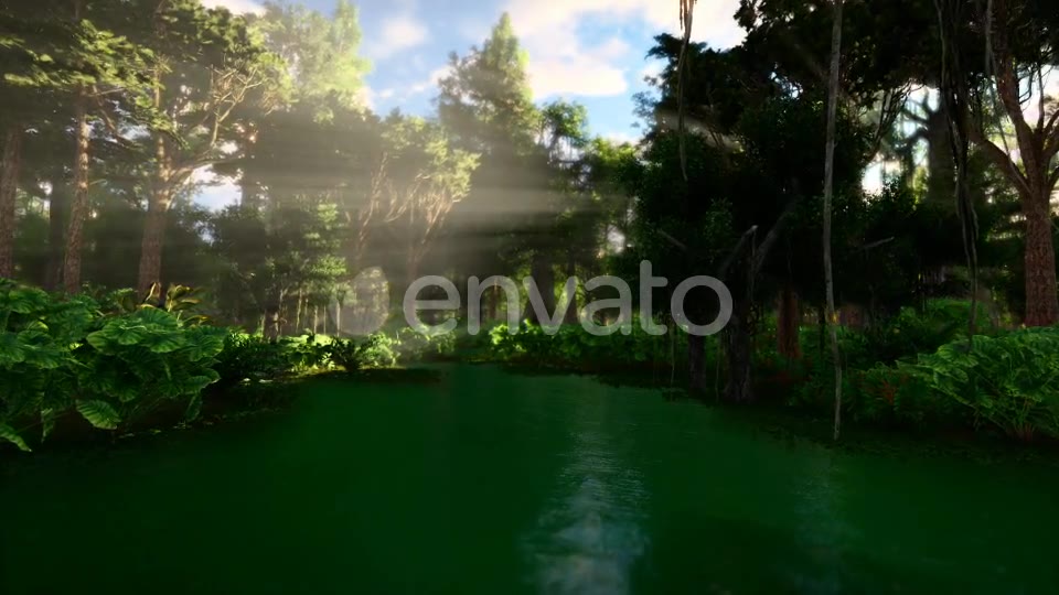 Swamp Forest 02 4K - Download Videohive 21613188