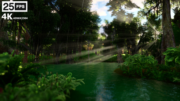 Swamp Forest 03 4K - Download Videohive 21622493