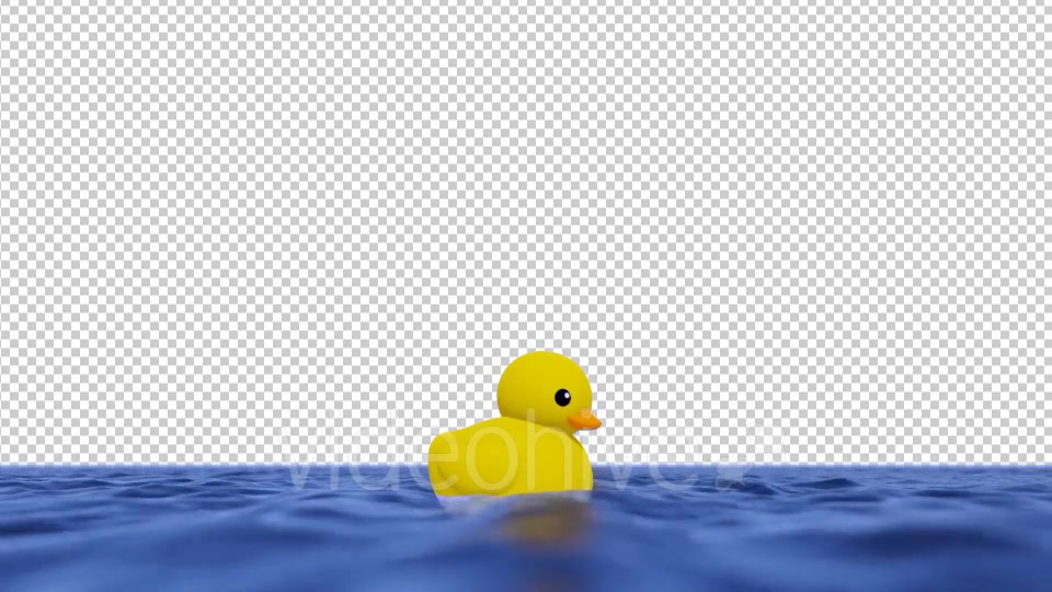 Swimming Rubber Duck - Download Videohive 19964168