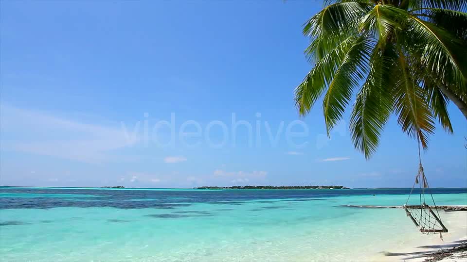 Swing On A Palm Tree At Maldives  Videohive 2421701 Stock Footage Image 1