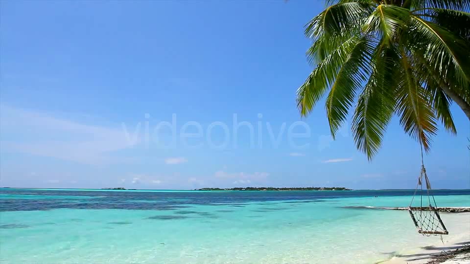 Swing On A Palm Tree At Maldives  Videohive 2421701 Stock Footage Image 2