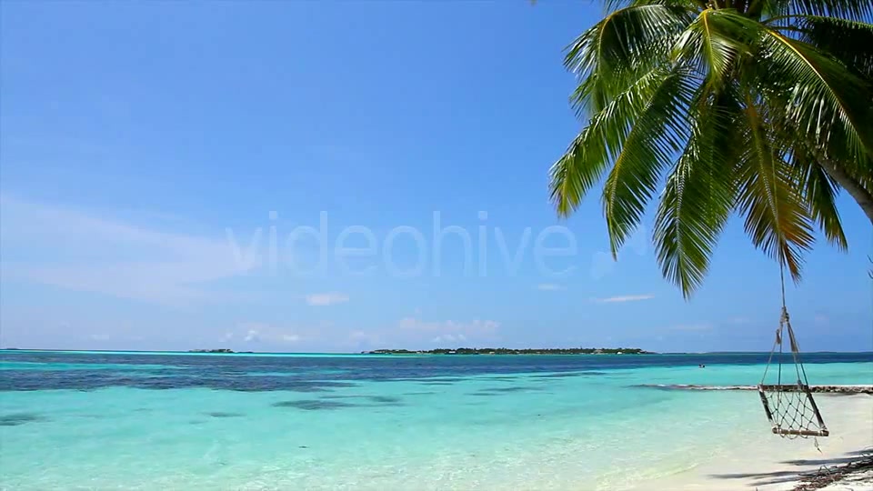 Swing On A Palm Tree At Maldives  Videohive 2421701 Stock Footage Image 3