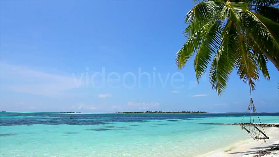 Swing On A Palm Tree At Maldives  Videohive 2421701 Stock Footage Image 6