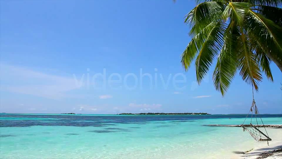 Swing On A Palm Tree At Maldives  Videohive 2421701 Stock Footage Image 7