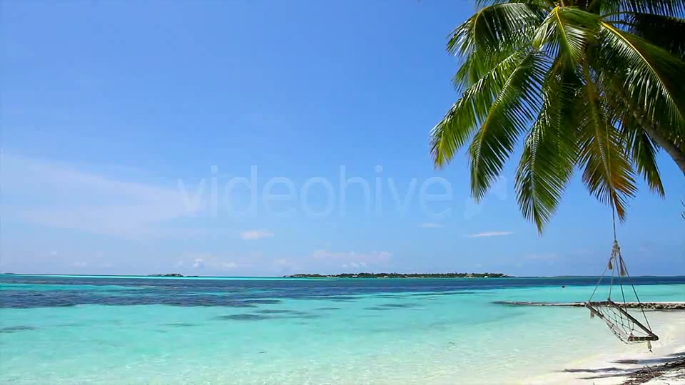 Swing On A Palm Tree At Maldives  Videohive 2421701 Stock Footage Image 8