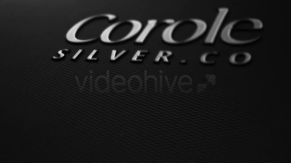 Swiss Logo Gold Silver - Download Videohive 4278937