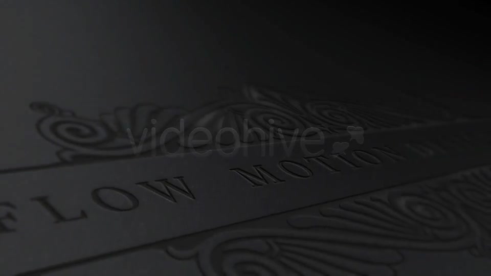 Swiss Logo Gold Silver - Download Videohive 4278937