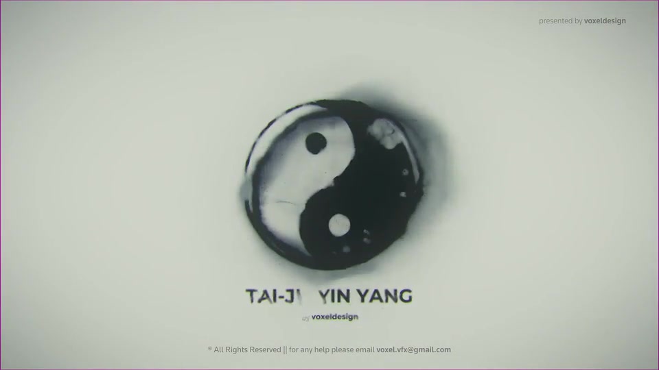 TAI JI YIN YANG Formation Videohive 31049713 After Effects Image 4