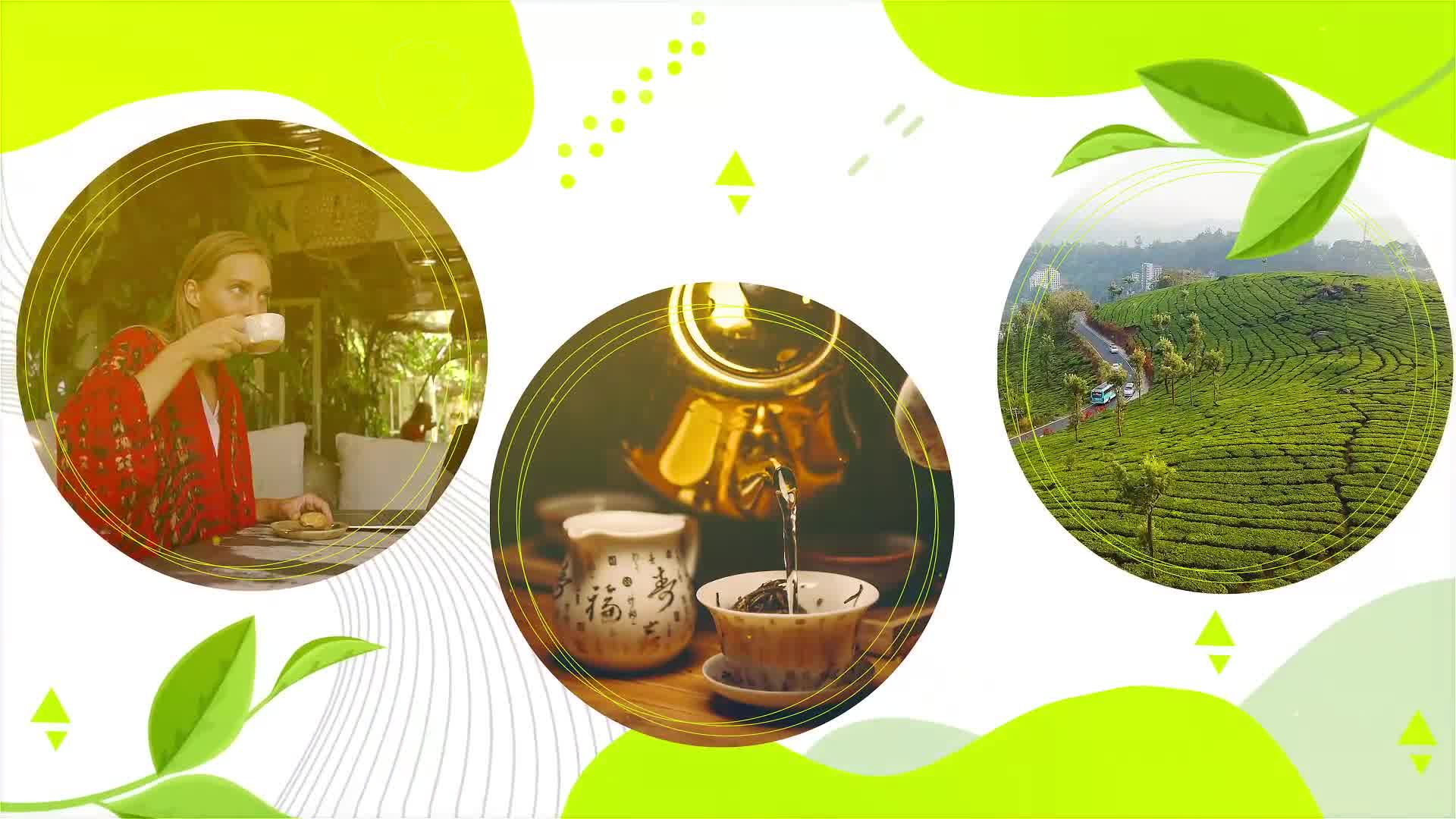 Tea Promo Videohive 34204210 After Effects Image 11