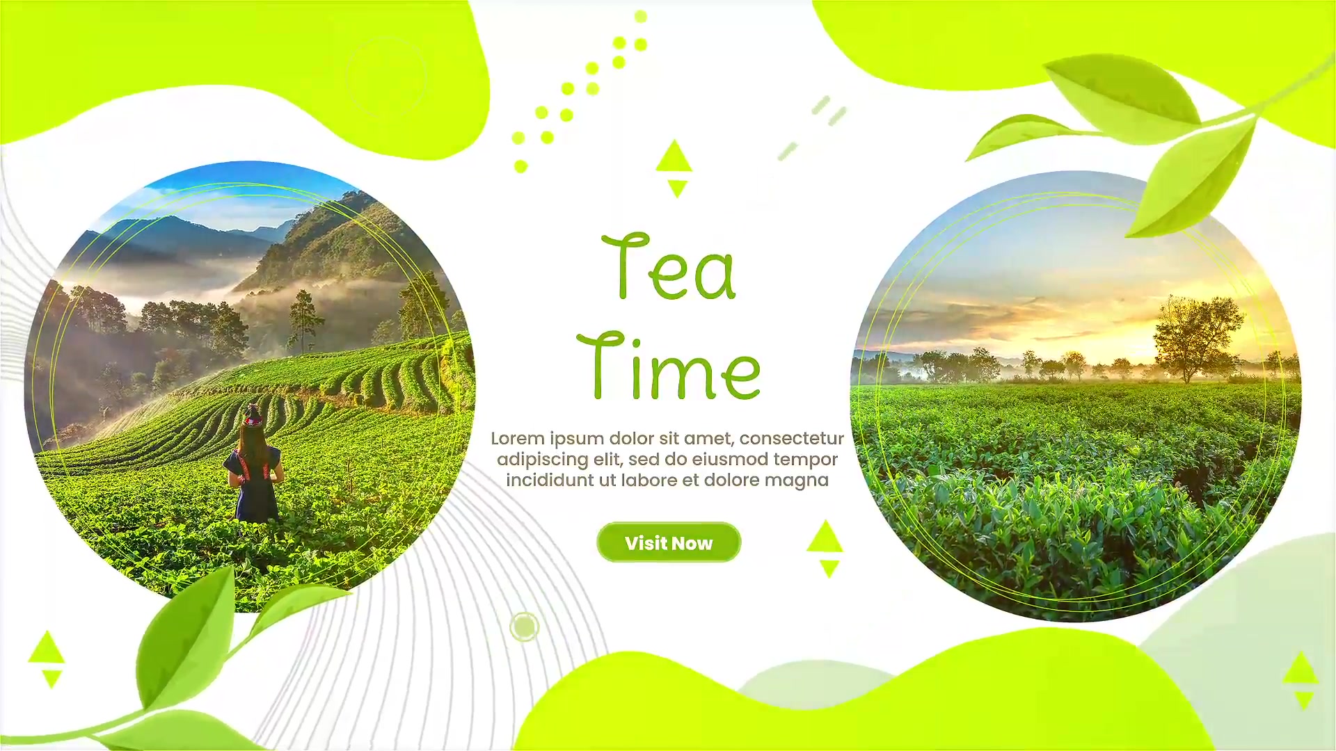 Tea Promo Videohive 34204210 After Effects Image 4