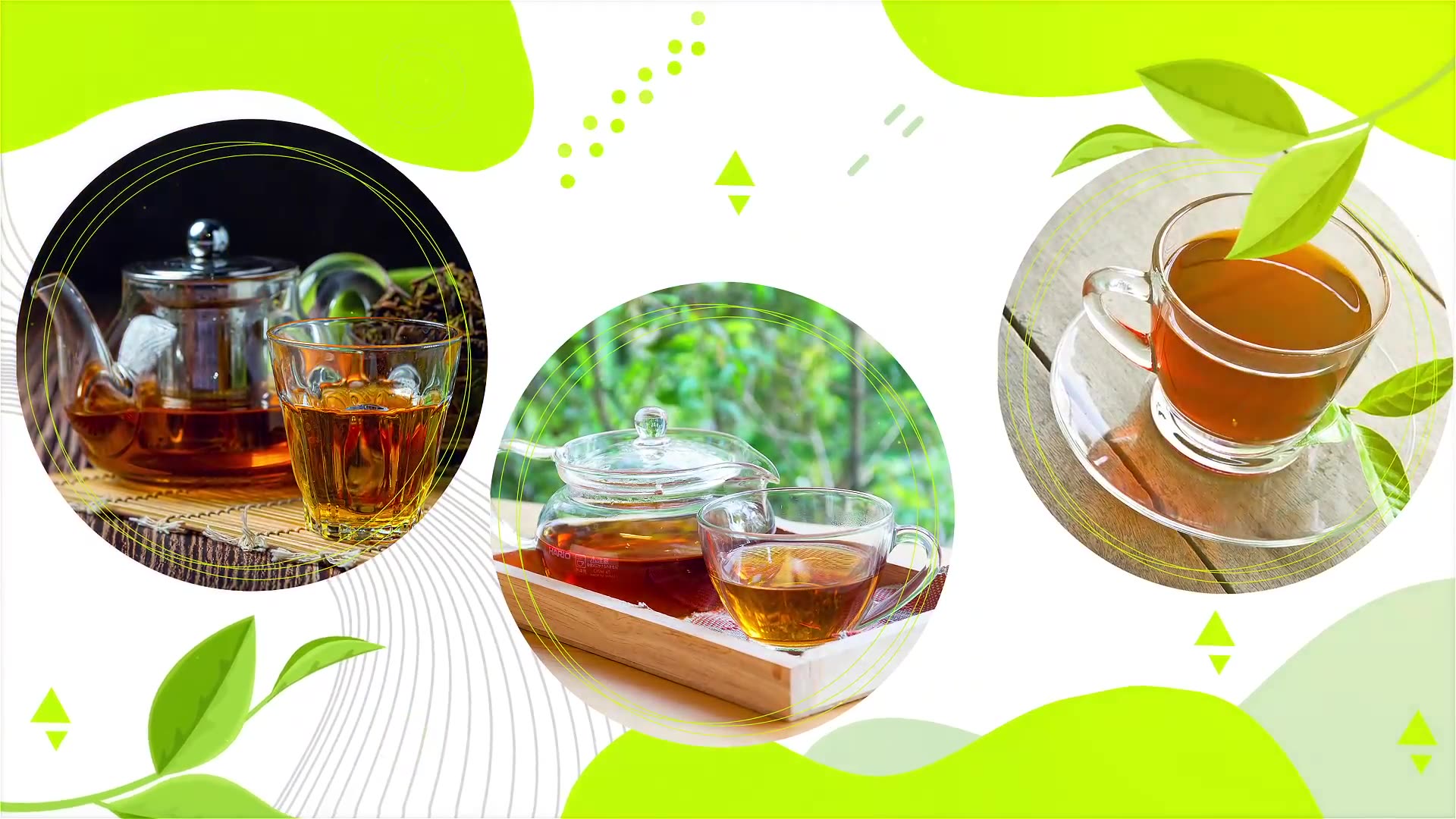 Tea Promo | MOGRT Videohive 34243584 Premiere Pro Image 6