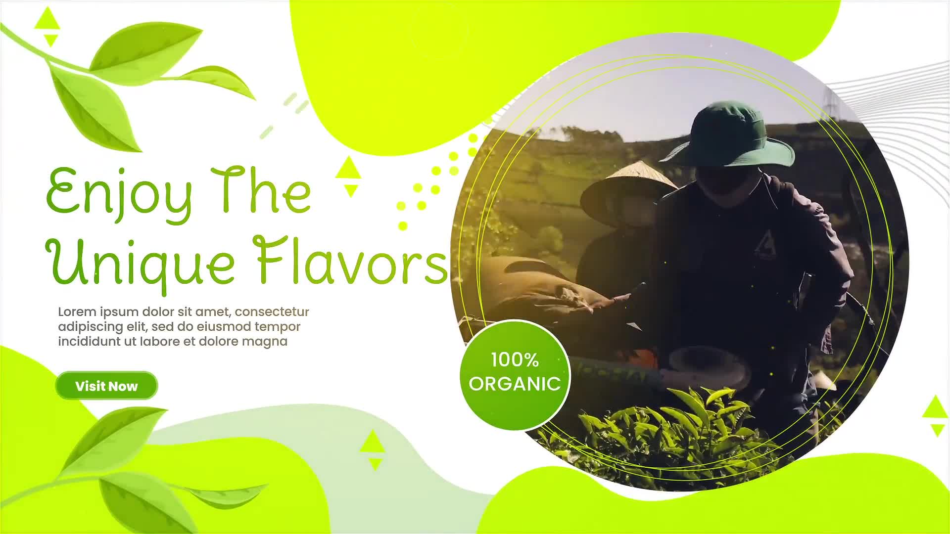 Tea Promo | MOGRT Videohive 34243584 Premiere Pro Image 8