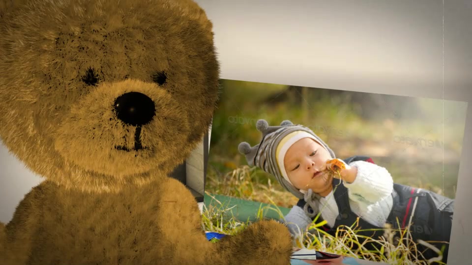 Teddy Presents - Download Videohive 7917138
