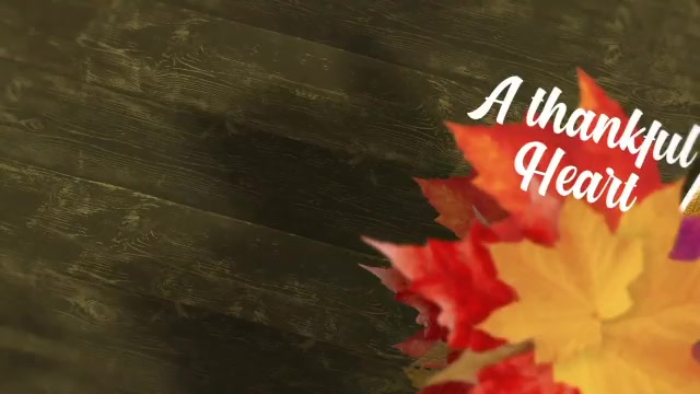 Thanksgiving Autumn Slideshow Videohive 34636837 After Effects Image 3