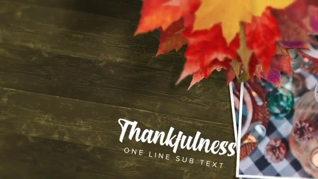 Thanksgiving Autumn Slideshow Videohive 34636837 After Effects Image 6