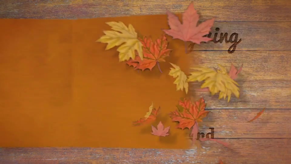 Thanksgiving Carrousel Videohive 20862431 After Effects Image 3