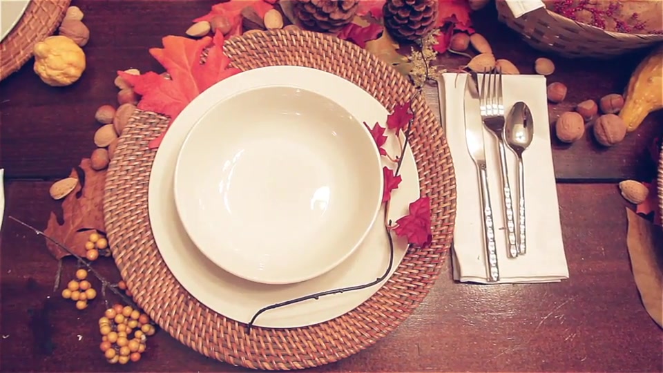 Thanksgiving Dinner - Download Videohive 9436946