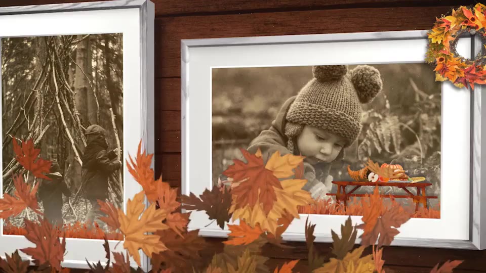 Thanksgiving Frames Videohive 29058073 After Effects Image 3