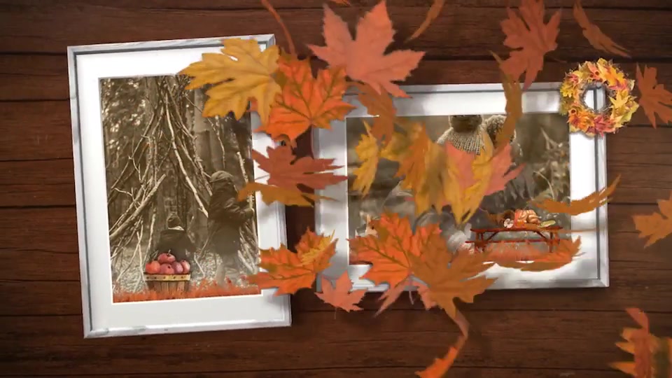 Thanksgiving Frames Videohive 29058073 After Effects Image 4