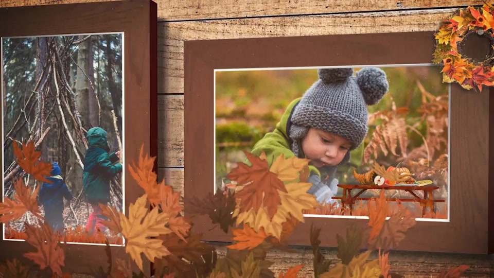 Thanksgiving Frames Videohive 29058073 After Effects Image 9