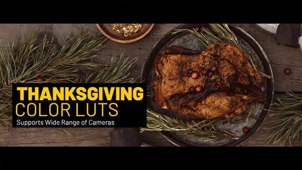 Thanksgiving LUTs - 38463829 Videohive Download