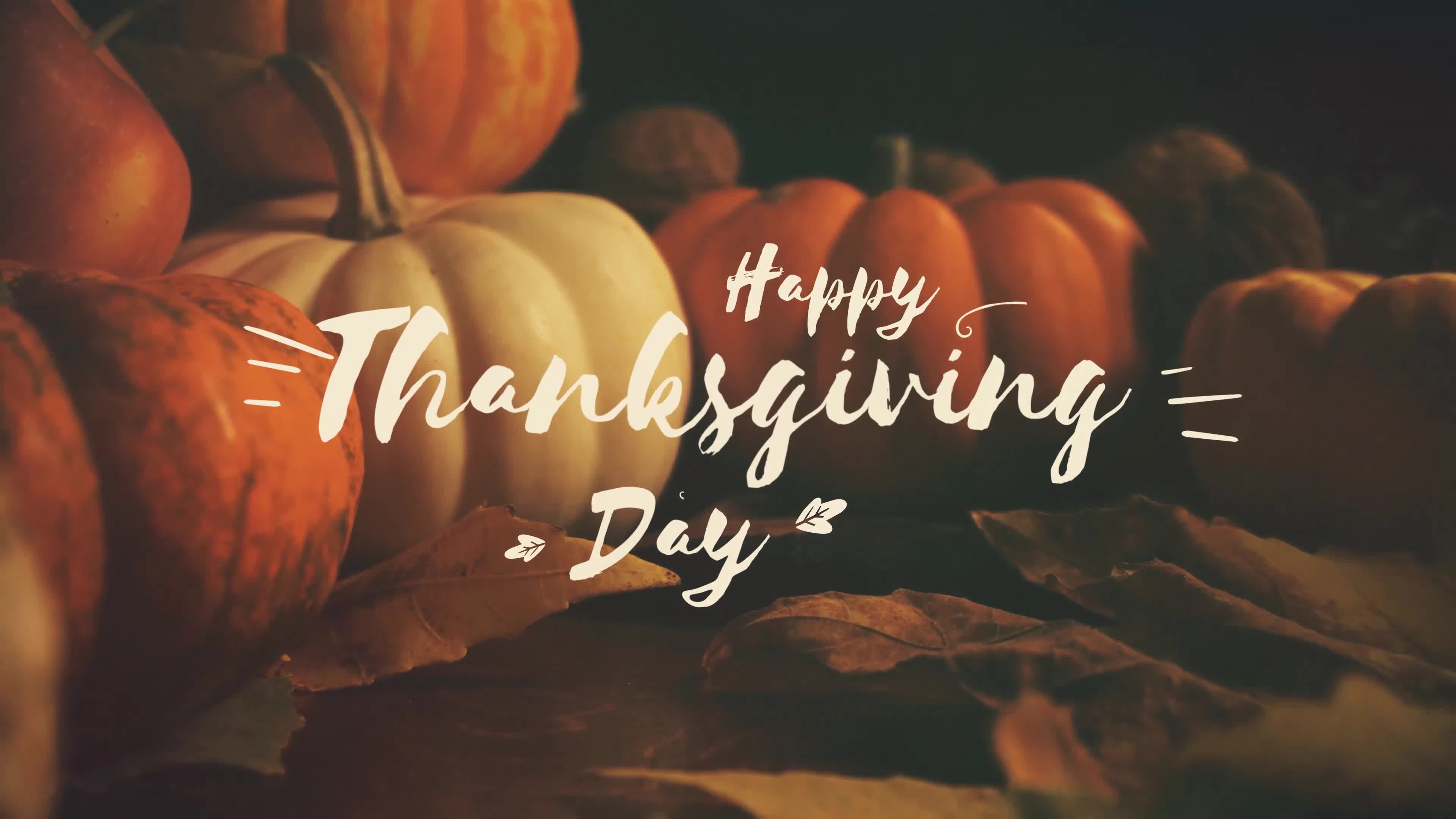 Thanksgiving Memories Slideshow Videohive 34519122 After Effects Image 1