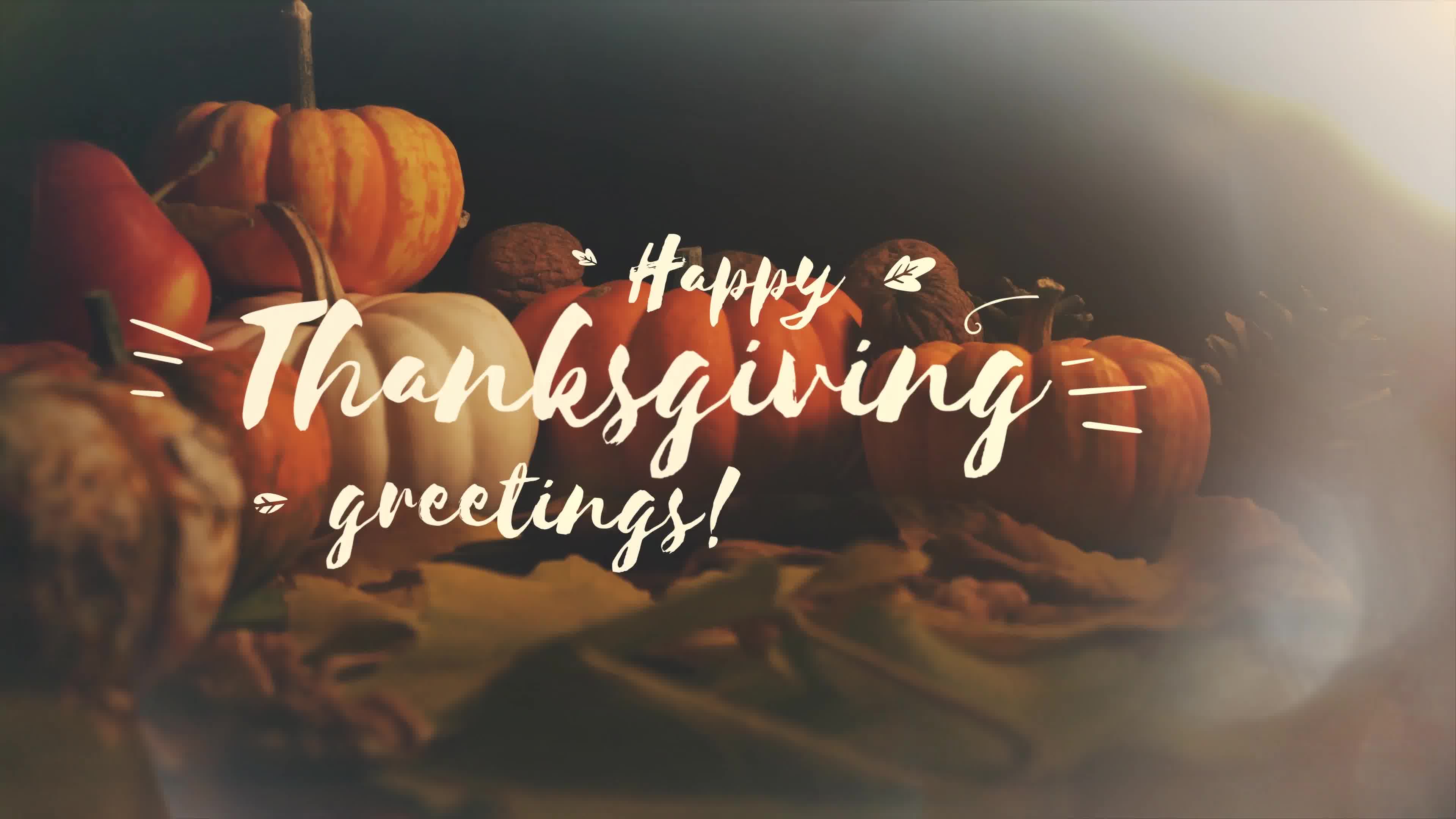 Thanksgiving Memories Slideshow Videohive 34519122 After Effects Image 10