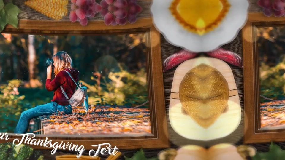 Thanksgiving Special Promo Videohive 22822514 After Effects Image 10