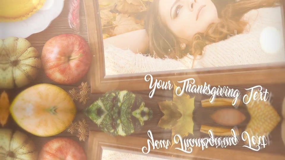 Thanksgiving Special Promo Videohive 22822514 After Effects Image 11