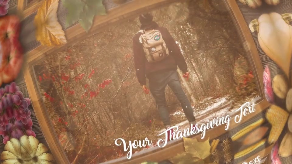 Thanksgiving Special Promo Videohive 22822514 After Effects Image 12