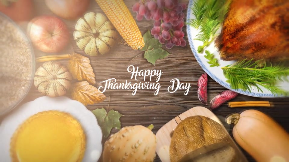 Thanksgiving Special Promo Videohive 22822514 After Effects Image 13