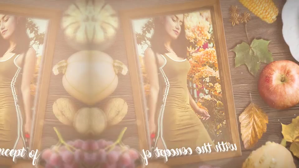 Thanksgiving Special Promo Videohive 22822514 After Effects Image 4