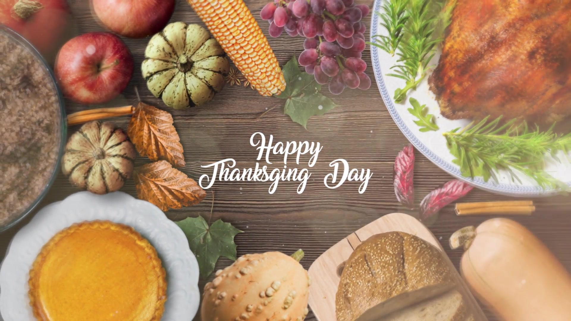 Thanksgiving Special Promo Apple Motion Videohive 29348979 Apple Motion Image 13