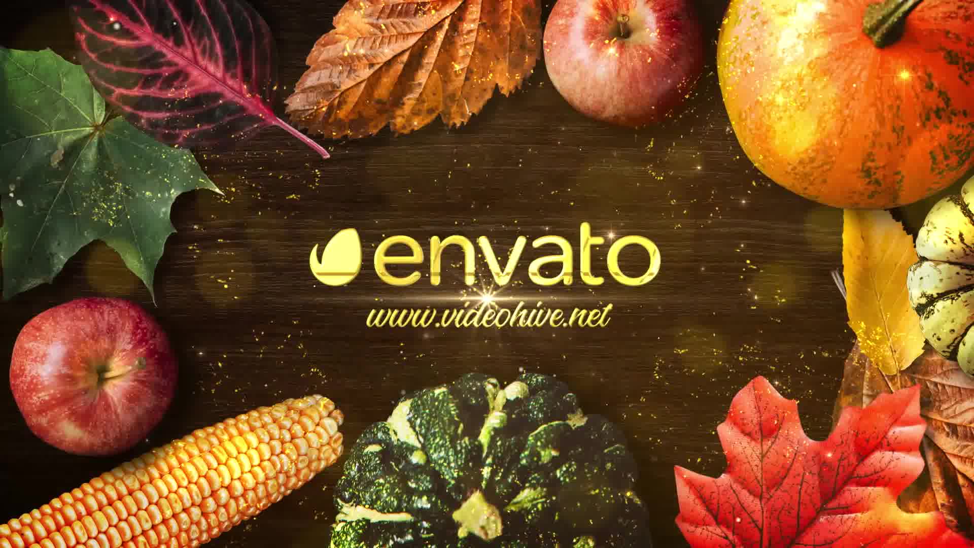 Thanksgiving Wishes Videohive 25022400 After Effects Image 10