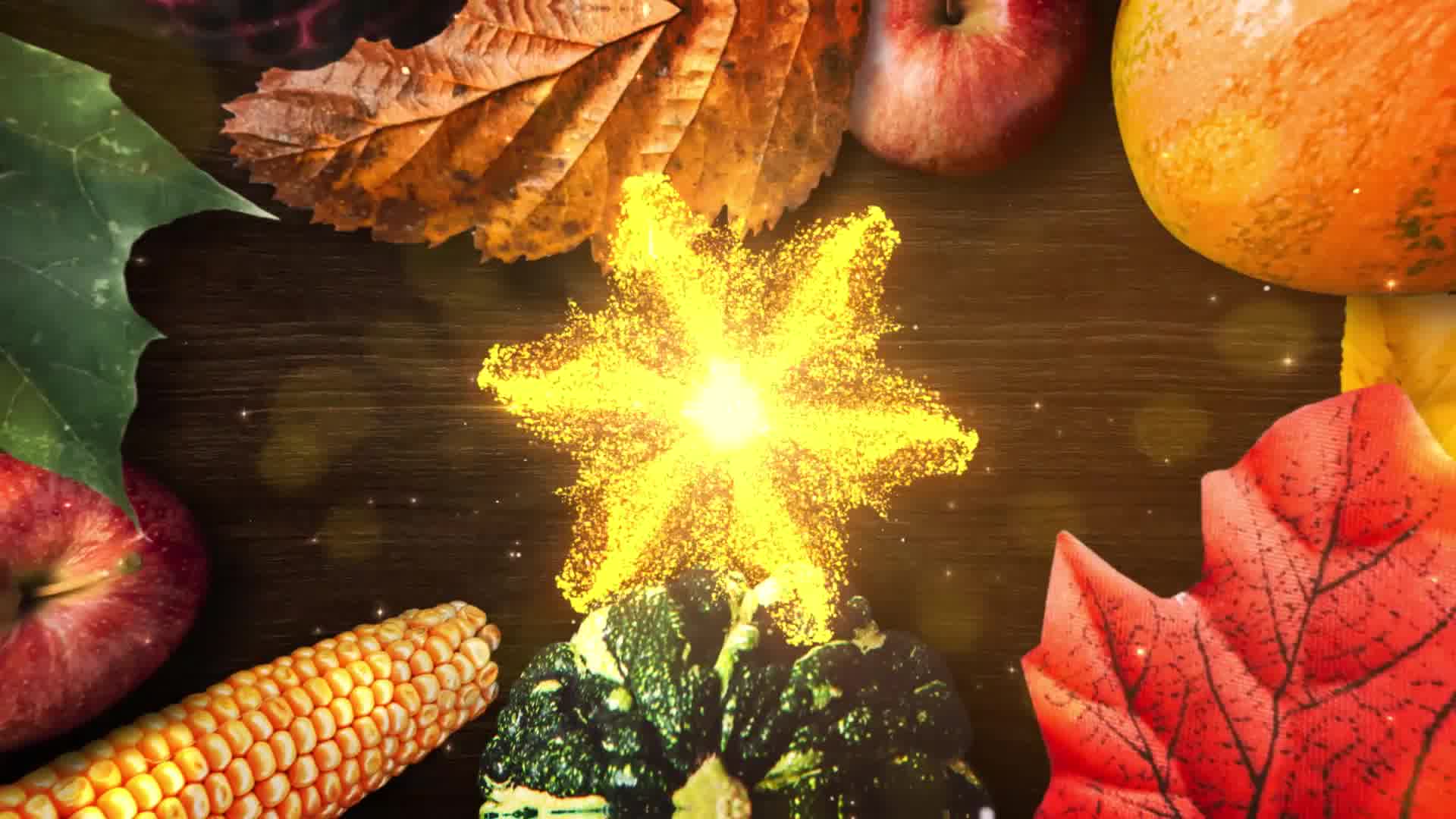 Thanksgiving Wishes Videohive 25022400 After Effects Image 9