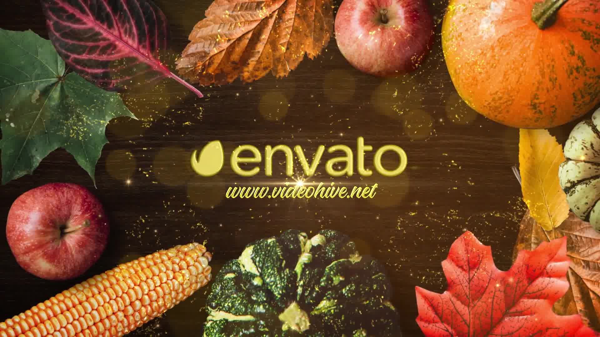 Thanksgiving Wishes Apple Motion Videohive 29102614 Apple Motion Image 10