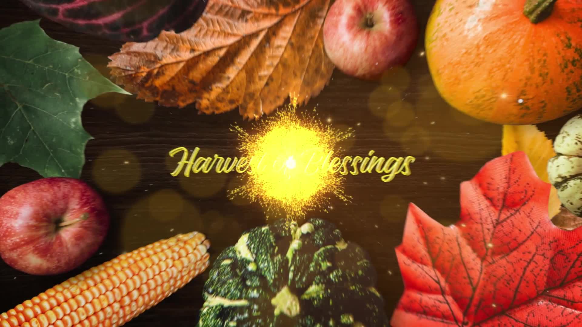 Thanksgiving Wishes Apple Motion Videohive 29102614 Apple Motion Image 2